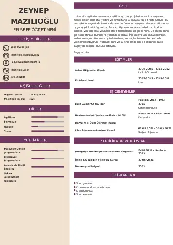 Felsefe Öğretmeni CV Örnekleri cv indir